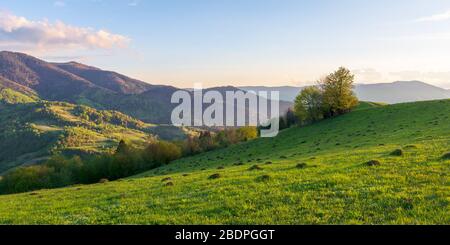 paysage de campagne dans les montagnes au coucher du soleil. beau paysage de carpates avec des prairies qui traversent des collines boisées en soirée lumière. merveilleux Banque D'Images