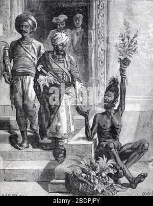 Indian Fakir, Saddhu & Beggar prétend cultiver la plante dans sa palmier Inde. Vintage ou ancienne illustration ou gravure 1886 Banque D'Images