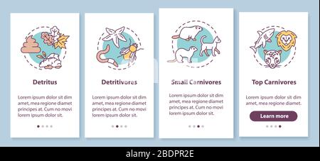 Écran de la page des applications mobiles d'intégration de la chaîne alimentaire Detritus avec des concepts. Processus biologique, cycle de vie de la nature passage à 4 étapes instructions graphiques Illustration de Vecteur