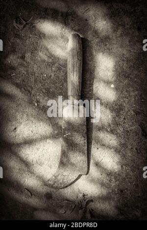 Photo en noir et blanc d'un outil de jardinage hachette à poignée en bois, tiré du dessus sur un sol délesté avec des ombres Banque D'Images