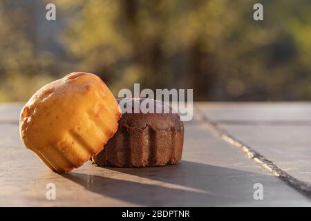 muffins à la citrouille et au chocolat sur fond de béton gris Banque D'Images