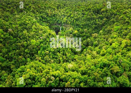 Prise de vue aérienne du parc national de Wooroonooran avec les chutes de Nandroya au loin. Banque D'Images