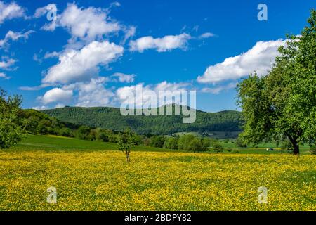 Albvorland bei Weilheim an der Teck mit Burg Teck Banque D'Images