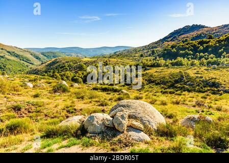 Pâturage rugueux près du hameau de Finiels sur le sentier Robert Louis Stevenson dans les Cévennes, Lozère, France Banque D'Images