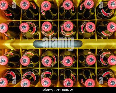 Berceau de bière belge blonde Jupitler dans une épicerie. Cahier de Jupiler, pack de 24 Banque D'Images