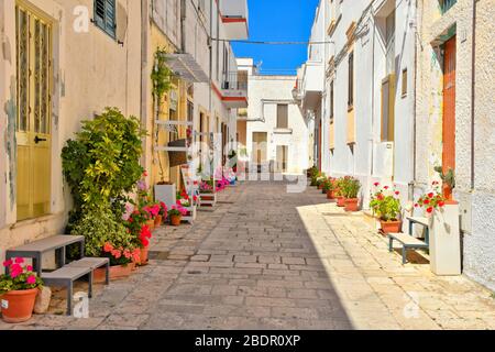 Une rue étroite entre les maisons de Castro, une ville de la région des Pouilles, en Italie Banque D'Images