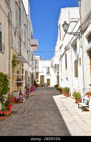 Une rue étroite entre les maisons de Castro, une ville de la région des Pouilles, en Italie Banque D'Images