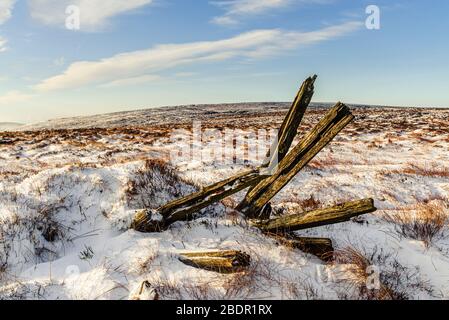 Les anciens poteaux de clôture sur Saddle tombaient dans la forêt de Bowland, dans le Lancashire. Banque D'Images