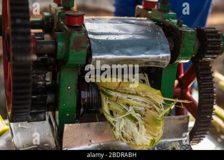 Vendeur de rue en Inde, en extrayant du jus de canne à sucre à partir de sugarcanes à l'aide d'une presse-fruits Banque D'Images