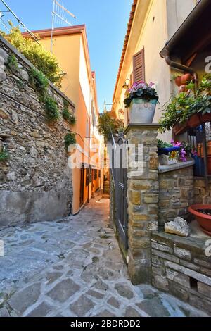 Une rue étroite entre les maisons de Castellabate, dans la région de Campanie, en Italie Banque D'Images