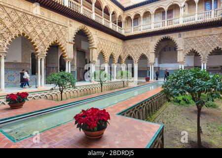 Patio de las Doncellas. La cour de Maiden. Royal Alcazars, Séville, province de Séville, Andalousie, Espagne. Le complexe monumental formé par la CA Banque D'Images