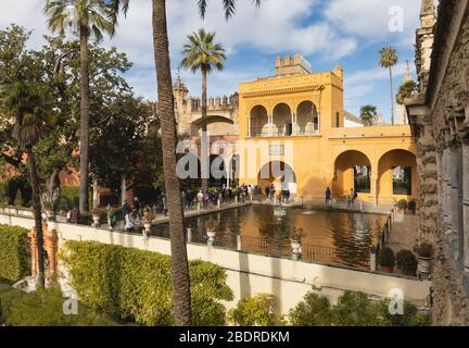 Jardin del Estanque, ou jardin de la piscine, Royal Alcazars, Séville, province de Séville, Andalousie, Espagne. Le complexe monumental formé par la cathédrale, le Banque D'Images