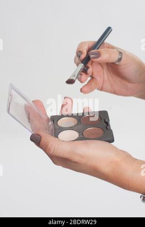 Ombres brunes avec pinceau sur fond blanc Banque D'Images