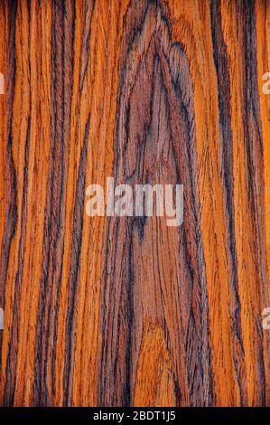 Les textures d'un arbre exotique. Noyer Aragon. Fond riche en orange et violet, avec lignes noires. Banque D'Images