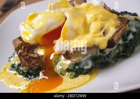 Œufs traditionnels de la Nouvelle-Orléans sardou, cuisine de louisiane avec crème aux épinards, artichauts, œufs pochés et sauce hollandaise Banque D'Images