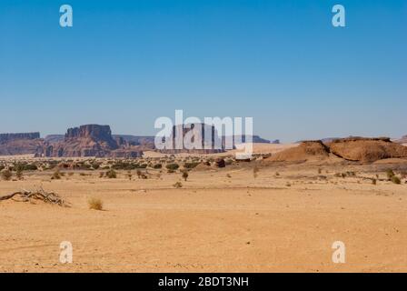 Formation de roches et végétation du désert, dessert du Sahara, Tchad, Afrique Banque D'Images