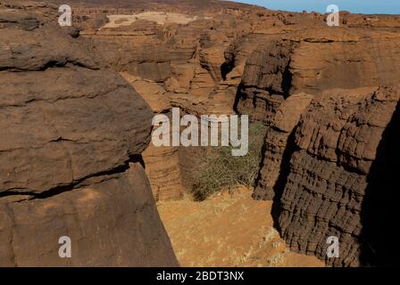 Labyrithe de formation de roches appelé d'Oyo dans le plateau Ennedi sur dessert Sahara, Tchad, Afrique. Banque D'Images