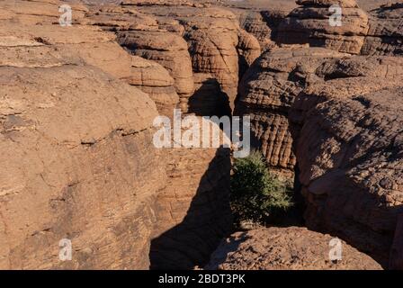 Labyrithe de formation de roches appelé d'Oyo dans le plateau Ennedi sur dessert Sahara, Tchad, Afrique. Banque D'Images