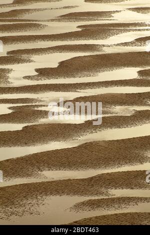 Motifs de sable à marée basse dans l'estuaire de Mawddach, Barmouth dans le parc national de Snowdonia Banque D'Images