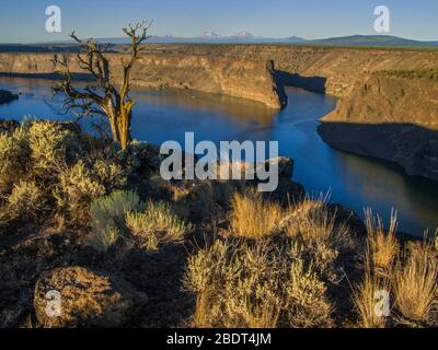 Lac Billy Chinook, Culver, Oregon États-Unis Banque D'Images