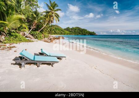 Ile Mahe, Seychelles. Vocation de vacances sur la belle plage tropicale d'Anse intense exotique. Vagues de l'océan se déplaçant vers la plage de sable avec de la noix de coco Banque D'Images