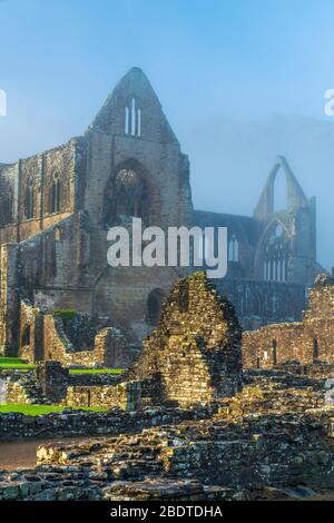 Les ruines de l'abbaye cistercienne du XIIe siècle de Tintern, dans la vallée de Wye, au Pays de Galles, au Royaume-Uni, en Europe Banque D'Images