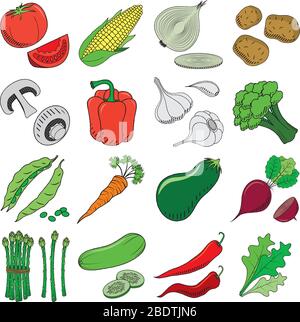 Légumes (set) - clipart/ illustration Illustration de Vecteur