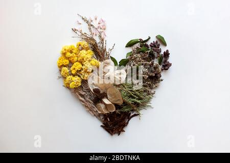 Composition florale du coeur avec tiges, feuilles et fleurs préservées isolées sur fond blanc Banque D'Images
