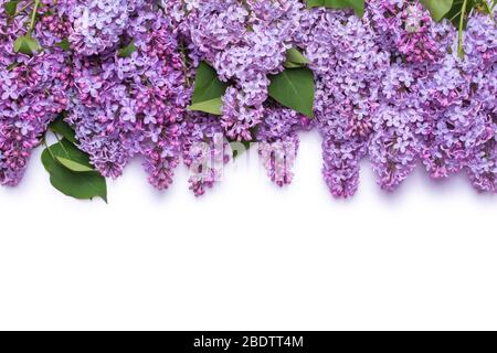 Bordure de fleurs lilas. Un bouquet de fleurs violettes est isolé sur fond blanc. Vue du dessus, concept de pose plate. Banque D'Images