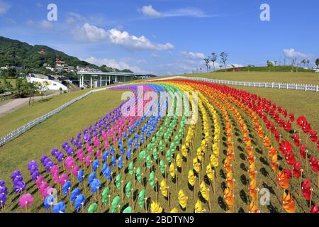 Roue d'épingle colorée dans le village d'art de Sanying à Taiwan Banque D'Images