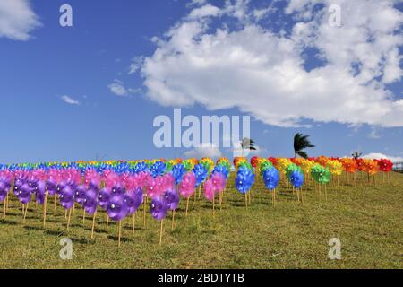 Roue d'épingle colorée dans le village d'art de Sanying à Taiwan Banque D'Images