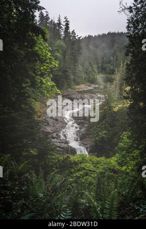 Parc provincial Elk Falls et aire protégée sur l'île de Vancouver au Canada Banque D'Images