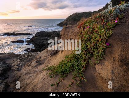 Image en couleur d'un beau coucher de soleil avec vue sur l'océan Pacifique en Californie du Nord. Banque D'Images