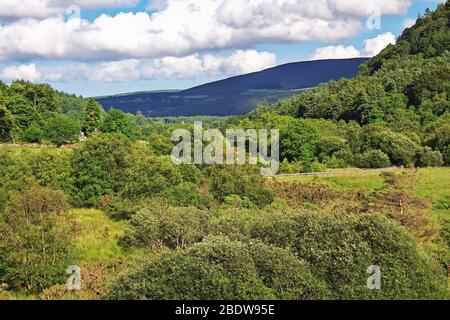 Vue sur la vallée dans la colonie monastique de Glendalough, Irlande Banque D'Images