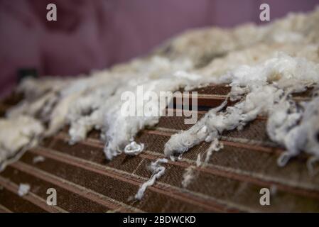 Coton battant sur équipement textile en coton, coton élastique Banque D'Images