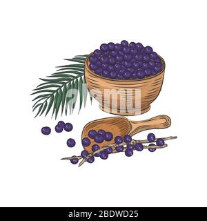 Baies d'Acai dans un bol et une cuillère. Toujours la vie avec des feuilles et des branches d'acai. Illustration de Vecteur