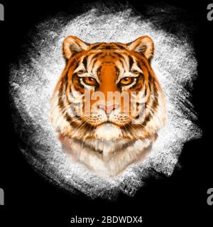 Illustration du tigre de Coloful Banque D'Images