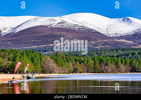 Montagne écossaise Cairn Gorm à Rothiemurchus Cairngorms National Park Highland Ecosse vu du point de vue Tullochgrue avec des boubreux en croissance Banque D'Images