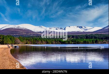 Montagne écossaise Cairn Gorm (à gauche) dans le parc national de Rothiemurchus Cairngorms Highland Ecosse vu du Loch Morlich avec plage Banque D'Images