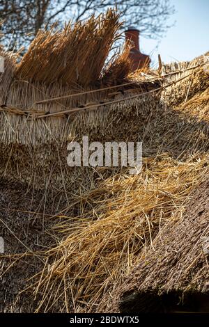 Toit de chaume, toit, réparation, ferme, industrie de la construction, travail, Pays-Bas, Reed - famille des graminées, Thatcher de toit, Roofer, bâtiment - activité, Banque D'Images