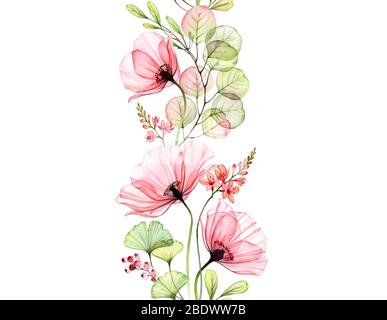 Bordure sans couture coquelicot aquarelle. Répétition verticale répétitive. Fleurs roses abstraites avec feuilles et branches de la résistance sur blanc. Illustration botanique Banque D'Images