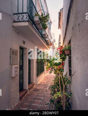 Un passage étroit et pittoresque dans la vieille ville de Marbella, Marbella, Espagne. Banque D'Images