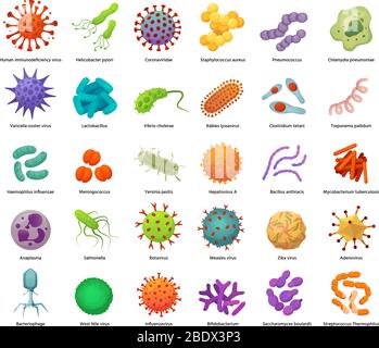 Icônes de bactéries et de virus. Bactérias, virus et microbes à l'origine de la maladie. Kit d'illustrations vectorielles de types de bactéries et de germes colorés Illustration de Vecteur