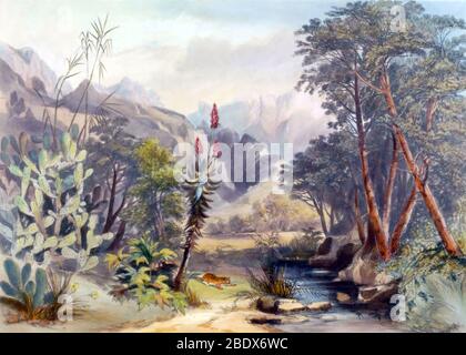 Afrique du Sud, Baviaanskloof, 1840 Banque D'Images