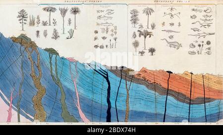 William Buckland, Section géologique, 1836 Banque D'Images