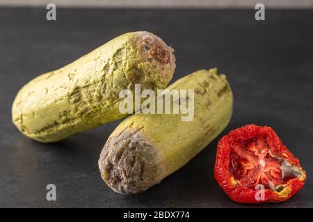 Tomate gâtée et courgettes sur fond noir. Tomate avec moule. Stockage incorrect des légumes. Déchets alimentaires. Gros plan Banque D'Images