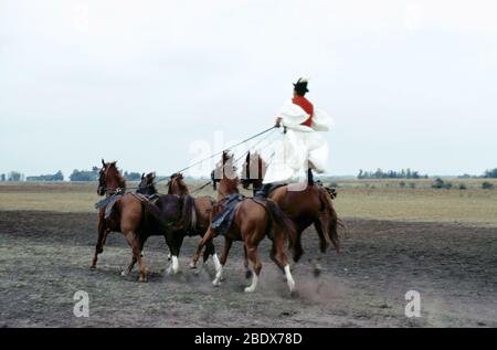 Cavaliers dans la Puszta, Hongrie Banque D'Images