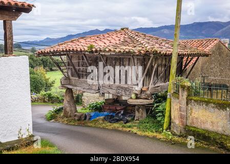 Granaire traditionnelle appelée horreo ou horru dans le village de Guerres dans la municipalité de Colunga, communauté autonome des Asturies dans le nord de l'Espagne Banque D'Images