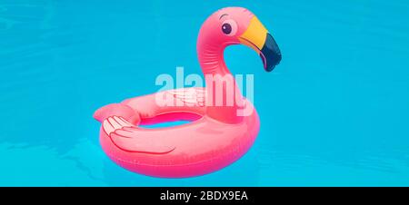 Cercle dans une piscine du Flamingo. Focus sélectif. nature. Banque D'Images