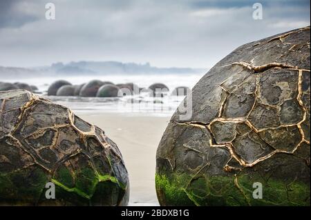 Les Moeraki Boulders sur Koekohe Plage, Otago, Nouvelle-Zélande. Rivage rocheux formations à l'arrière-plan gris ciel nuageux Banque D'Images
